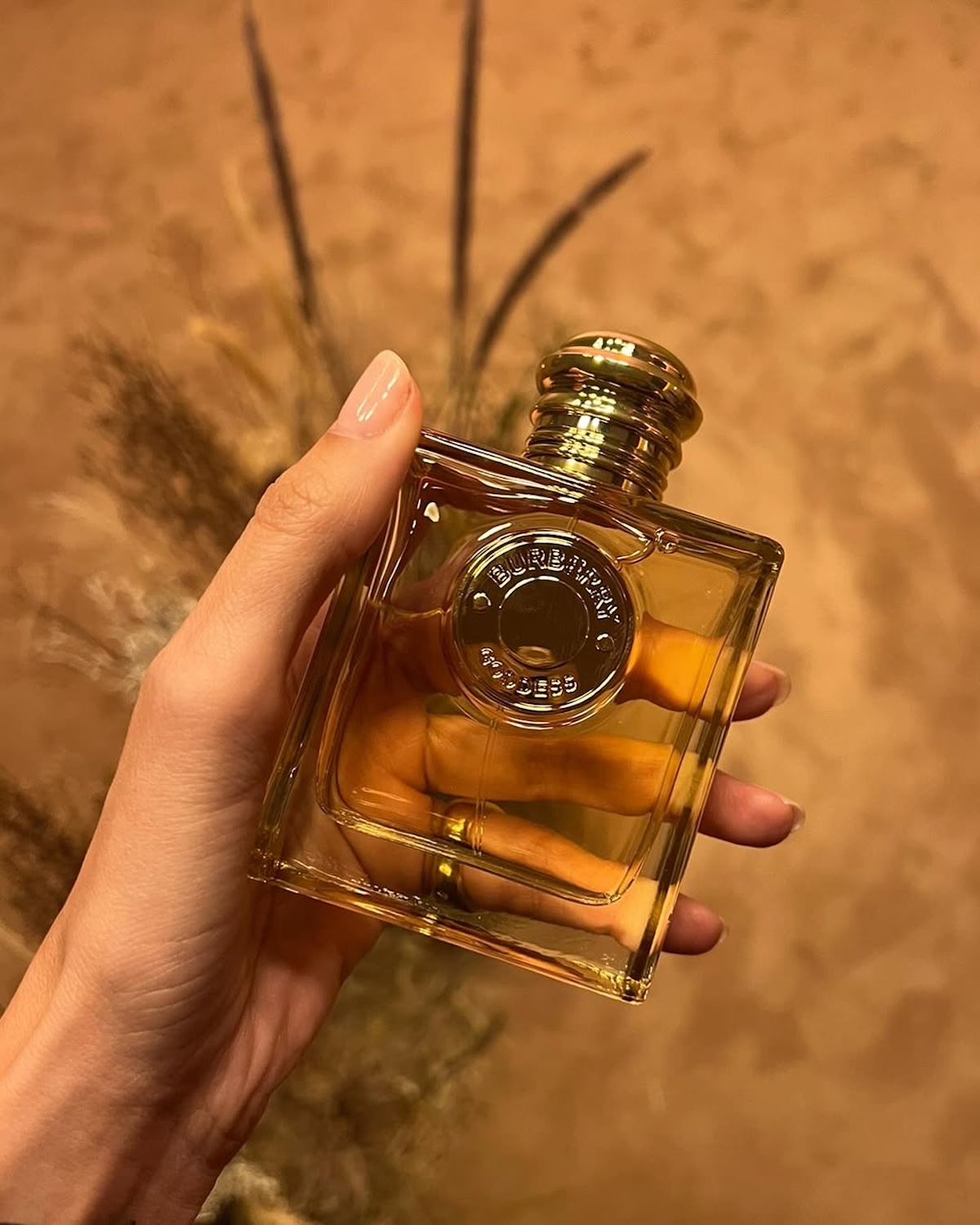 Jak przedłużyć trwałość perfum? Kobieca dłoń z jasnym manicurem, trzymająca kwadratowy flakon perfum marki Burberry z wyraźnym logo na przedniej części. Perfumy mają złoty kolor i złotą nakrętkę. Tło składa się z ciepłych, brązowych tonów z suszonymi trawami lub kwiatami w tle.