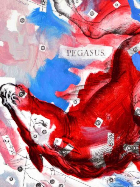 Wieloryb na kolorowej mapie z napisem Pegasus.