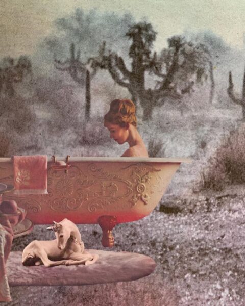 Ilustracja w stylu astrologicznym. Znajduje się na niej kobieta w wannie, która jest bogato zdobiona żłobieniami. Obok leży mały jednorożec. W tle widać ogród z krzewami i drzewami.