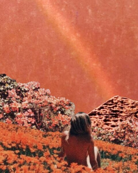 Ilustracja w stylu astrologicznym. Widać na nim łąkę z kwiatami, w nich siedzi kobieta i patrzy na niego. Przed nią widać panoramę gór. Do tego widać niebo z tęczą.