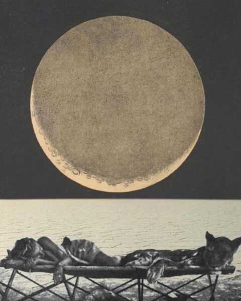 Ilustracja w ezoterycznym stylu. Widać wielki Księżyc na czarnym niebie. Na dole widać wodę, a nad nią leżak, na którym leży kobieta i lwica.