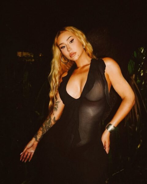 Na zdjęciu jest Iggy Azalea. Ma długie, falowane blond włosy rozpuszczone na ramiona. Ubrana jest w transparentną sukienkę z dużym dekoltem. Pozuje wieczorem w klubie.