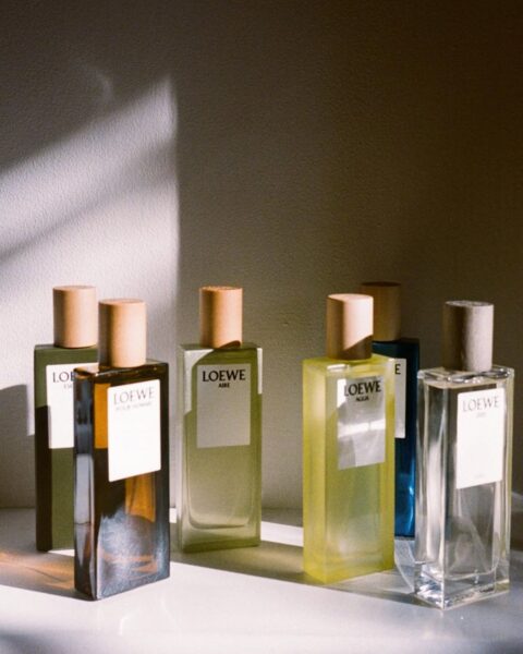 Kolekcja perfum Loewe. Sześć prostokątnych flakonów w różnych kolorach (od bursztynowego, przez zielony i żółty, po niebieski i bezbarwny) stoi na białej półce, oświetlonych ciepłym, porannym słońcem, które tworzy na ścianie wyraźne cienie.