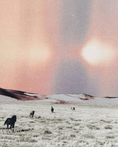 Grupa koni w biegu na czarno-białej, surowej równinie, symbolizująca siłę i niezależność kobiecej natury. Scena skąpana w pastelowym, onirycznym świetle na niebie, idealna do artykułów o powrocie do natury, modzie w stylu boho i autentyczności.