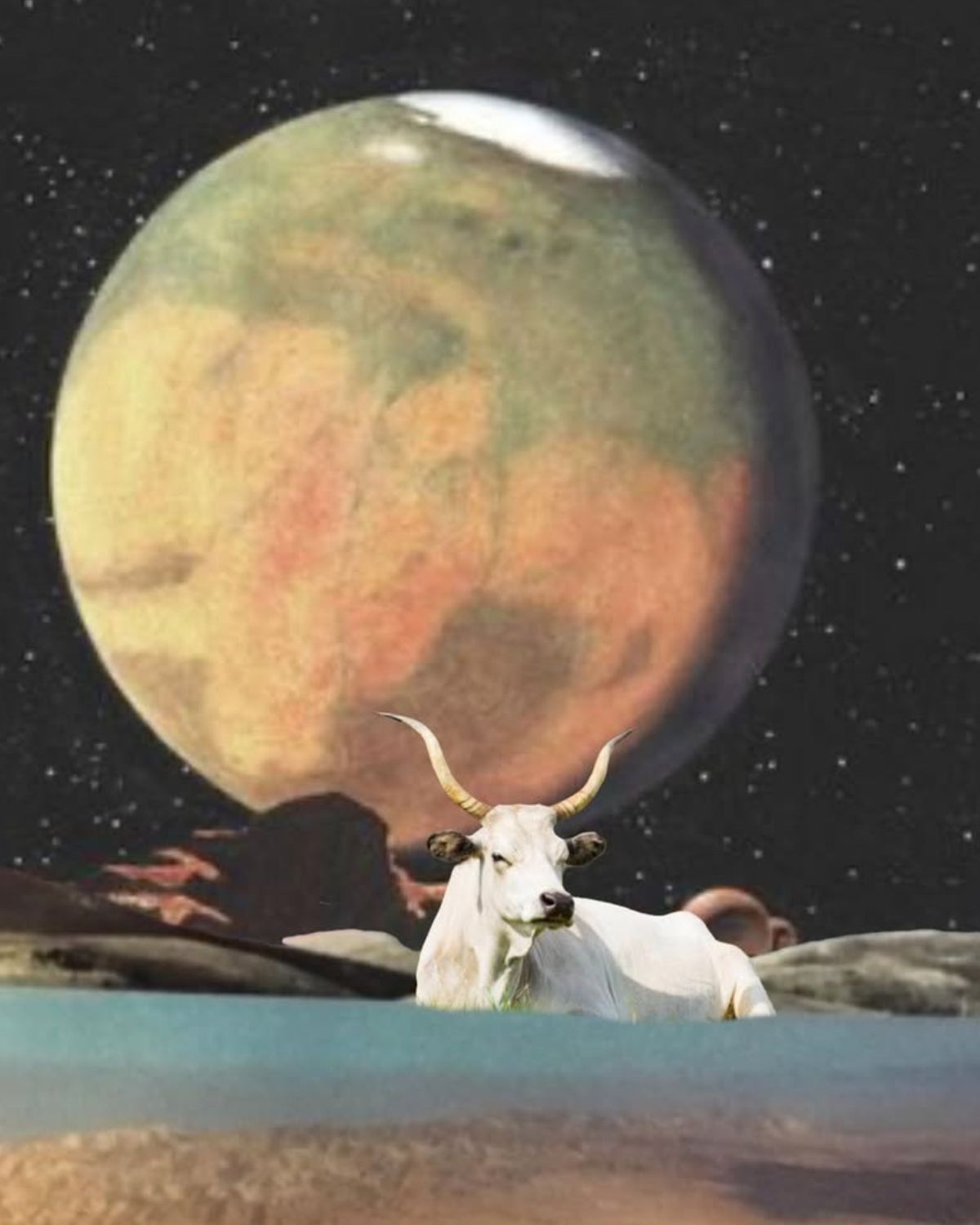 Pełnia Księżyca w listopadzie 2025 w Byku – astrologiczny czas ugruntowania, zmysłów i wewnętrznego spokoju