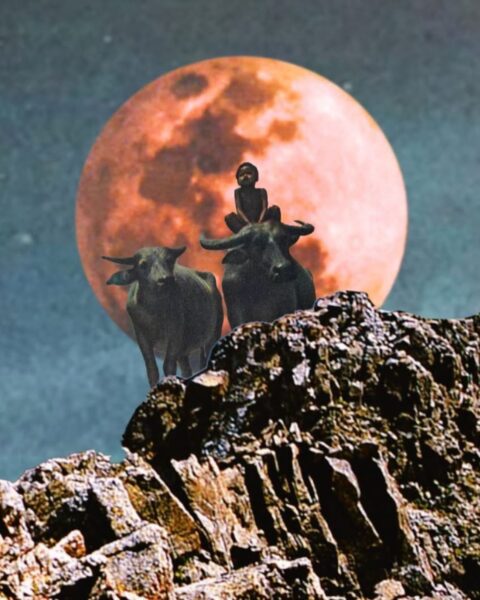 Kolaż o astrologicznym charakterze, przedstawiający dwie ciemne sylwetki byków lub wołów stojących na szczycie skalistego wzniesienia. Jeden z byków ma na grzbiecie małą, siedzącą postać. Na tle ciemnego, gwiaździstego nieba dominuje duży, krwistoczerwony Księżyc, co symbolizuje pełnię Księżyca w Byku.