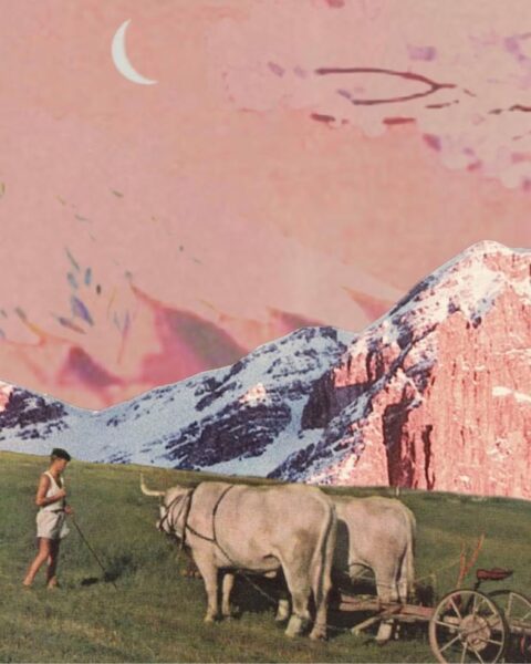 Kolaż przedstawiający scenę rolniczą na tle surrealistycznego, górskiego krajobrazu w różowo-czerwonych odcieniach. Na zielonej łące, w centrum, dwa białe woły w uprzęży ciągną wóz. Obok nich stoi postać w jasnym stroju, trzymająca narzędzie. W prawym górnym rogu na niebie widoczny jest cienki, jasny sierp, symbolizujący Nów Księżyca w Byku.