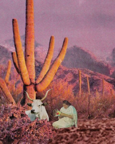 Kolaż o tematyce astrologicznej, w którym surrealistyczny pustynny krajobraz, utrzymany w odcieniach czerwieni i różu, zdominowany jest przez potężny kaktus saguaro. Na pierwszym planie, wśród krzewów, siedzi postać w jasnej, tradycyjnej szacie, trzymająca kolorowy wachlarz. Obok niej widoczna jest głowa białego wołu z rogami, symbolizującego sezon Byka.
