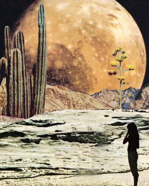 Surrealistyczny kolaż w stylu retro z pustynnym krajobrazem pod pomarańczowym, ogromnym globem planetarnym. Na pierwszym planie widoczna jest kobieta w ciemnej, stojącej sylwetce, która wydaje się kontemplować księżycowy lub skalisty teren. Scenę wypełniają strzeliste kaktusy i samotne, pękate drzewo w ciepłych barwach, symbolizujące wytrwałość i adaptację. Całość sugeruje podróż przez nieznane lub wewnętrzną introspekcję związaną z komunikacją i energią Merkurego.