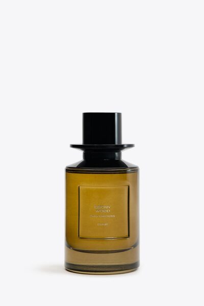 Zdjęcie produktowe perfum Zara Ebony Wood Elixir.