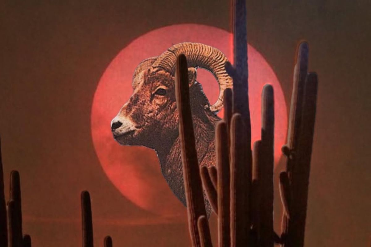 To nie przypadek, iż chcesz zmian – sezon Barana uruchamia coś nowego. Co oznacza?