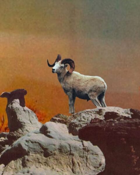 Merkury w Baranie 2026 – powiesz za dużo czy w końcu powiesz prawdę?