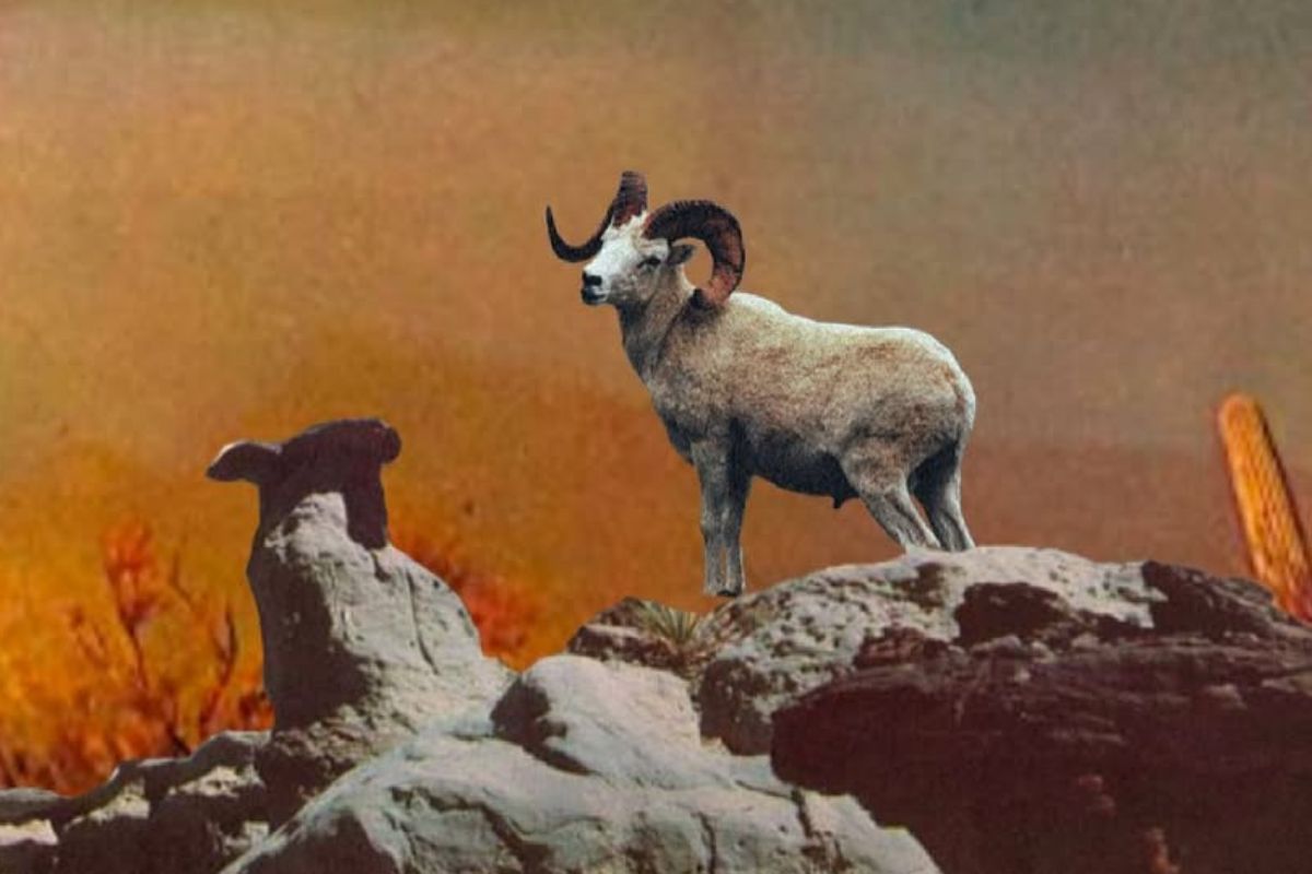 Merkury w Baranie 2026 – powiesz za dużo czy w końcu powiesz prawdę?