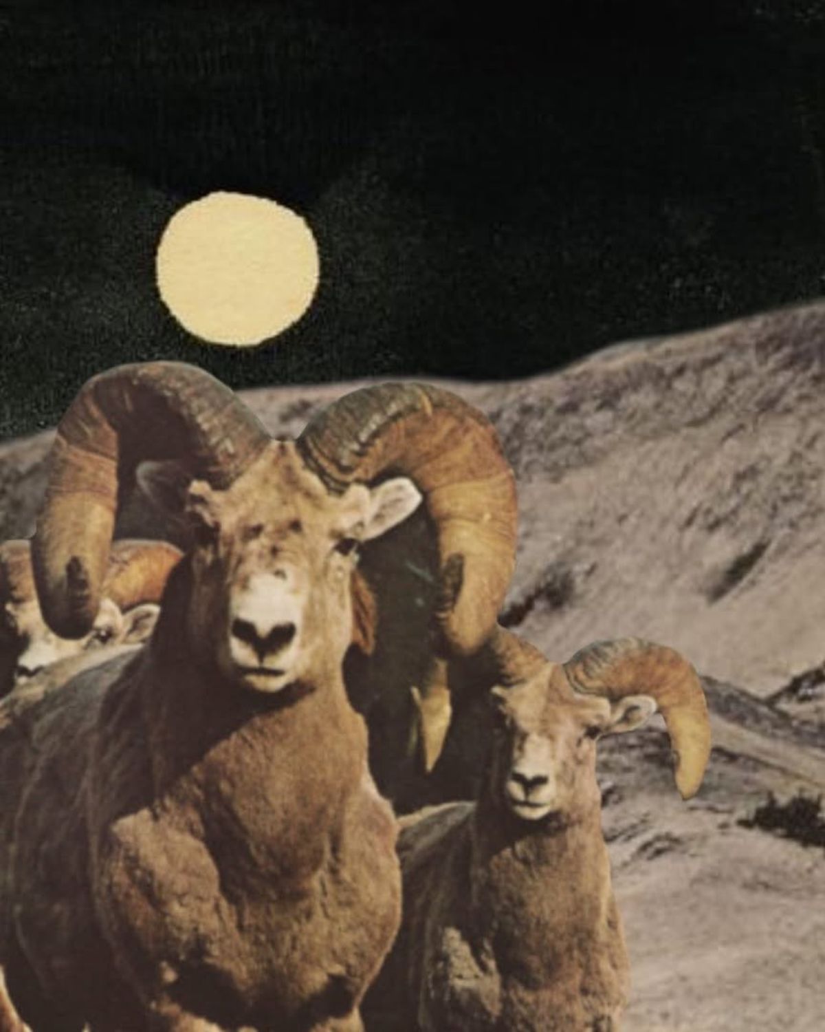 Nów Księżyca w Baranie: kwiecień 2026 – sekrety wychodzą na jaw, a wszechświat daje kopa do działania