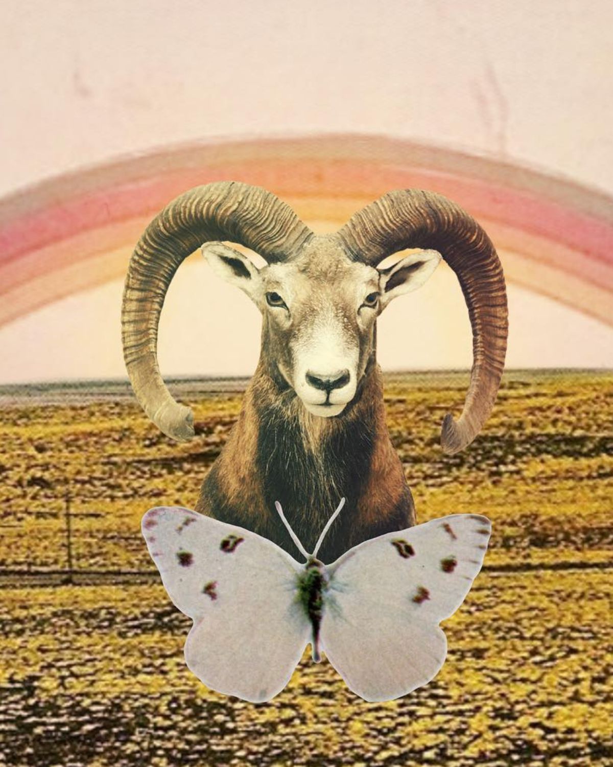 To astrologiczny Nowy Rok! Horoskop na nów księżyca dla wszystkich znaku zodiaku