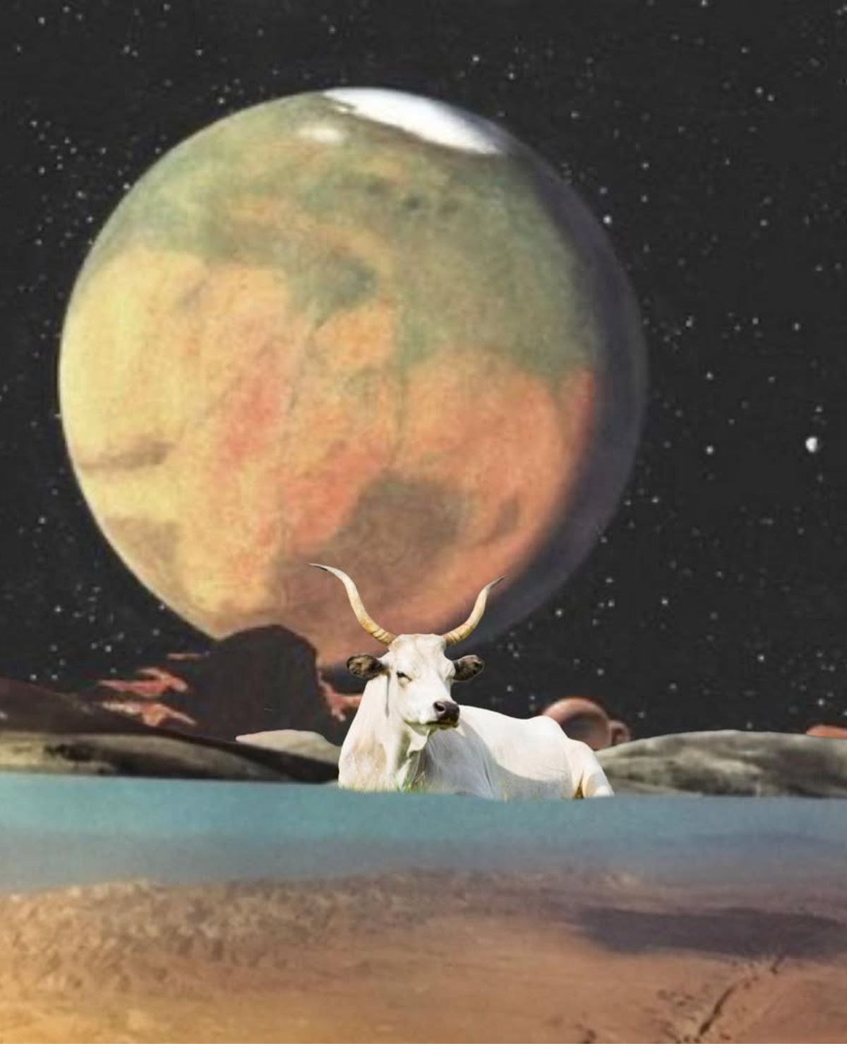 Sezon Byka: czas stabilizacji, pieniędzy i przyjemności. Co przyniesie ten okres?