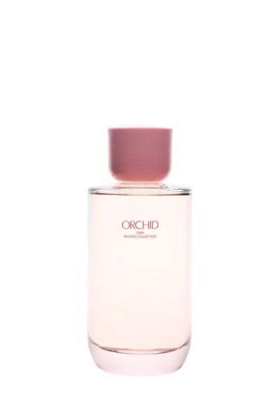 Zdjęcie produktowe Zara Orchid – wysoki flakon w jasnoróżowym odcieniu. Świeży, owocowo-kwiatowy zapach uznawany za odpowiednik i zamiennik Victoria’s Secret Bombshell. Prosty design pasuje do lekkiego i energetycznego charakteru perfum.